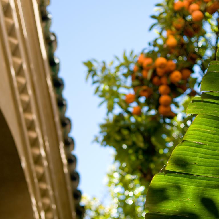 Riad La Maison D'A Cote Meknès Dış mekan fotoğraf